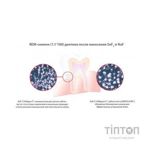 Зубна паста Dr. Wild Emofluor Daily Care зі стабілізованим фторидом олова 75 мл (7611841701686)